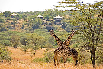 ol seki masai mara kenya